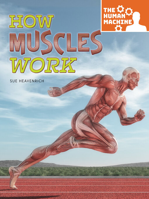 Title details for How Muscles Work by Sue Heavenrich - Available